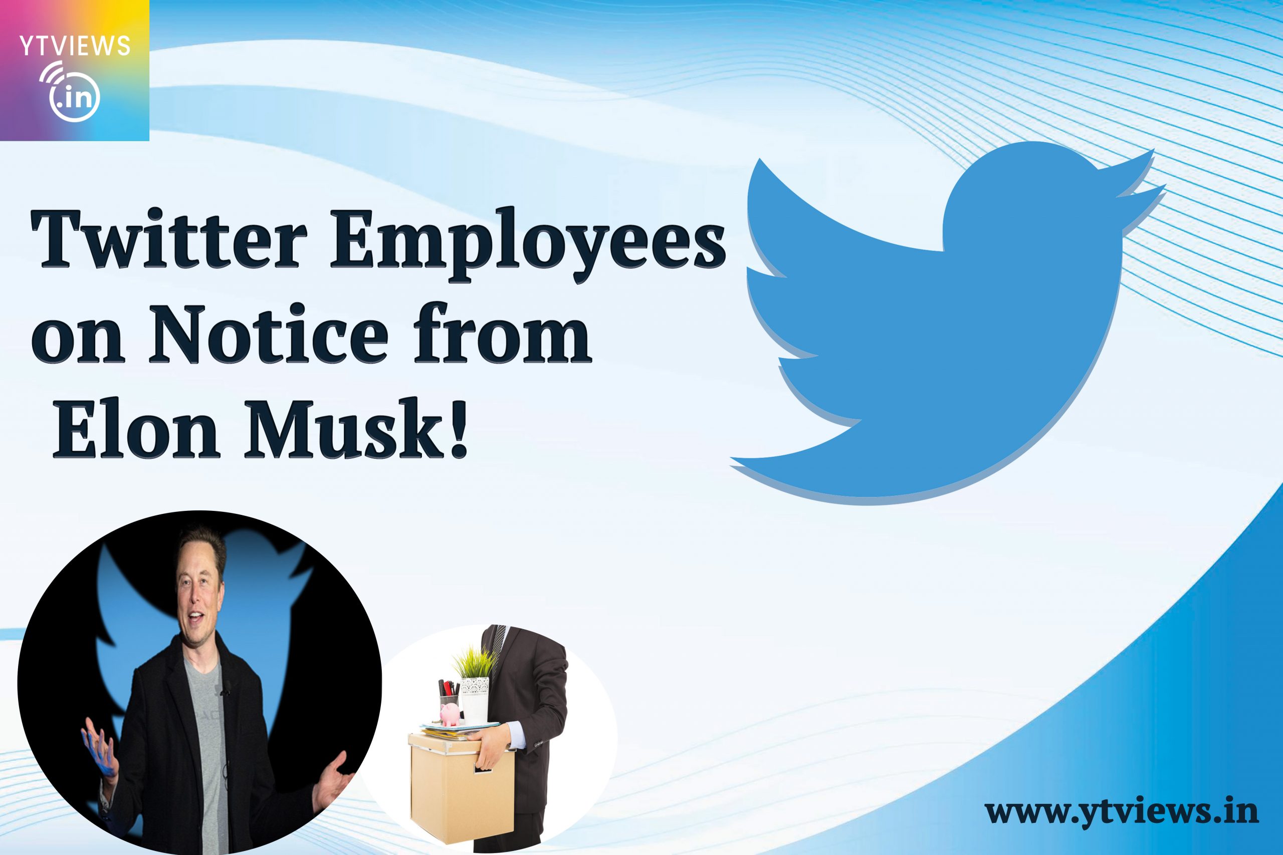 Twitter/X Employees on Notice from Elon Musk!