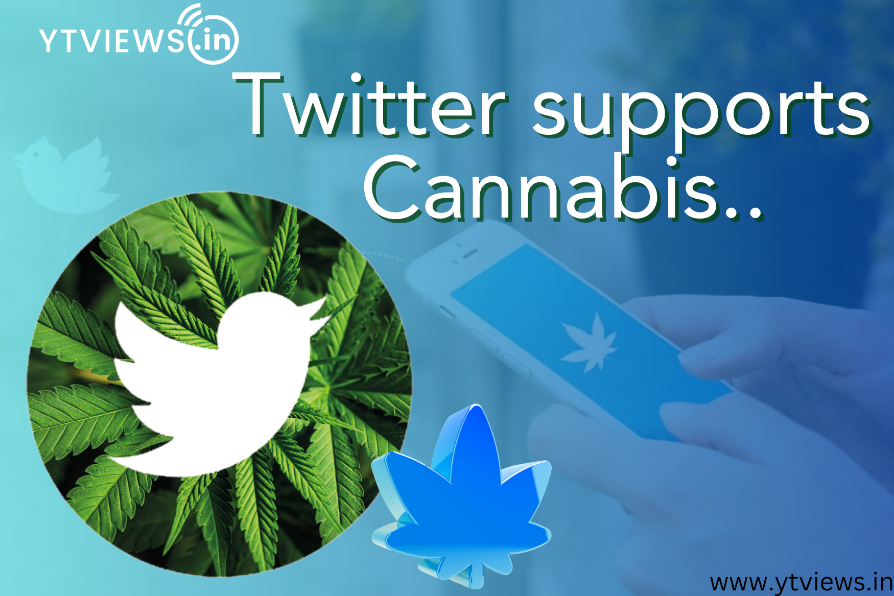 How X Supports Cannabis Startup Growth
